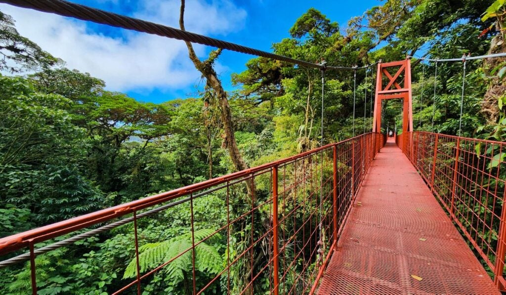 Costa Rica Unleashed: Wildlife,Adventure & Beaches for Solo Explorers 